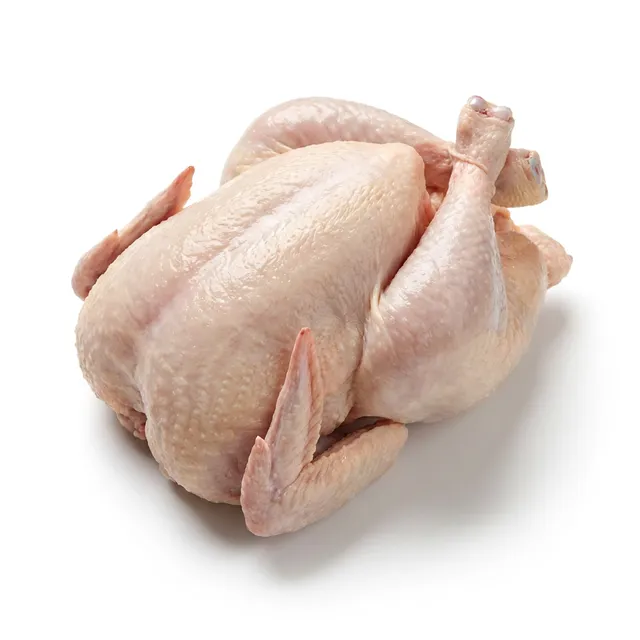 Pollo