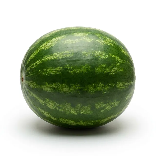 Patilla
