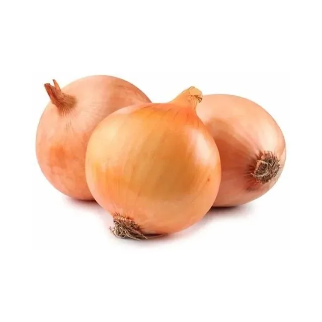 Cebolla