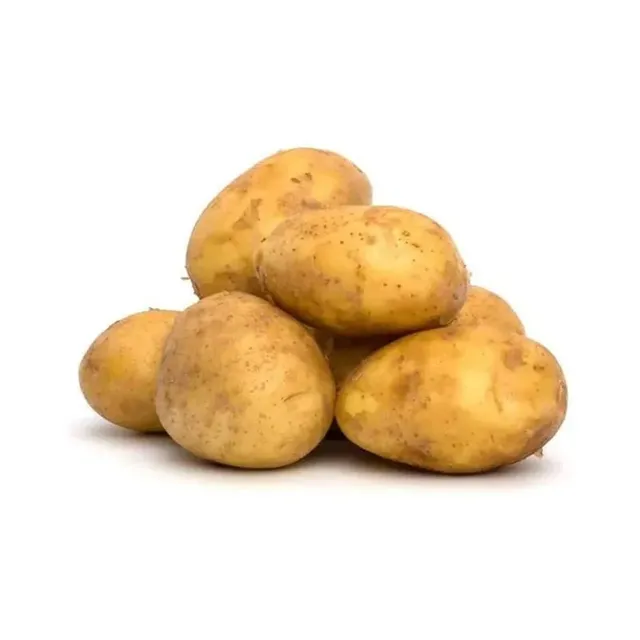 Papa