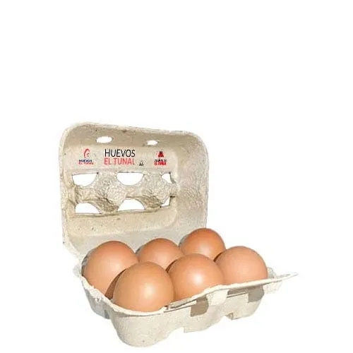 Huevos Tunal