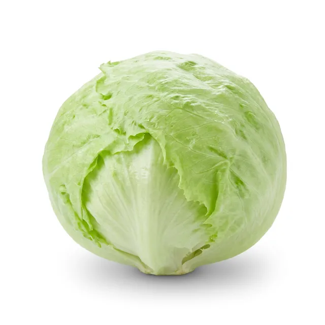 Lechuga Americana